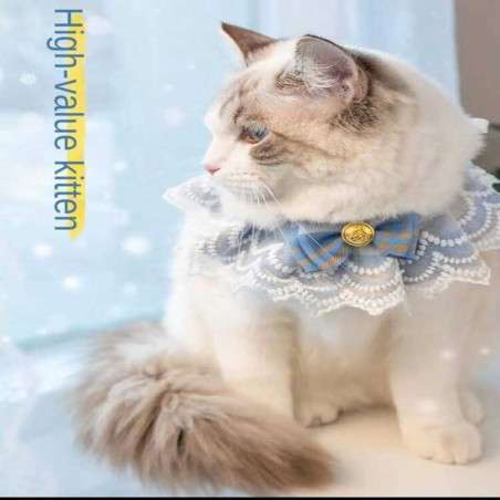  Fabric cat collar 