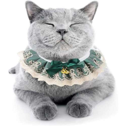 Fabric cat collar 