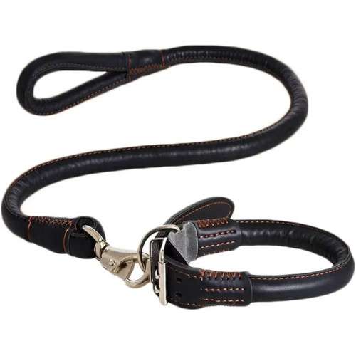 Leather collar for dogs