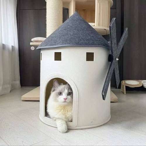  Cat house 