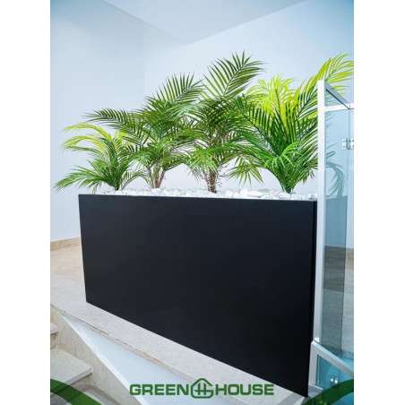 Home ornamental tree