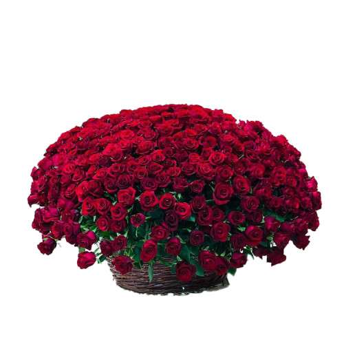  200 Red  Rose bouquet