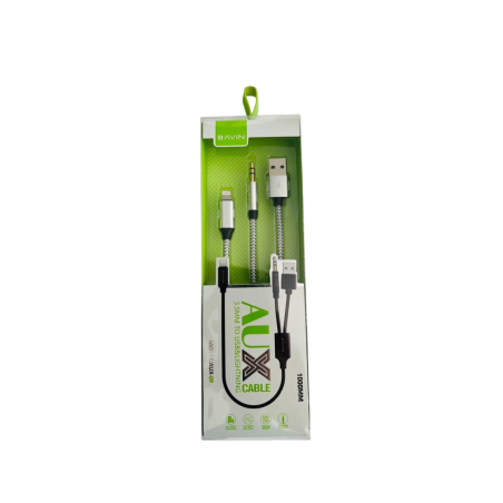 2-in-1 Charger Cable