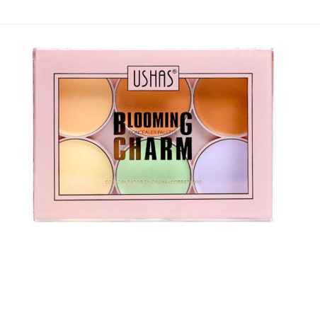 Skin Corrector and Concealer