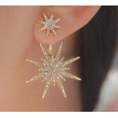 Women's earrings