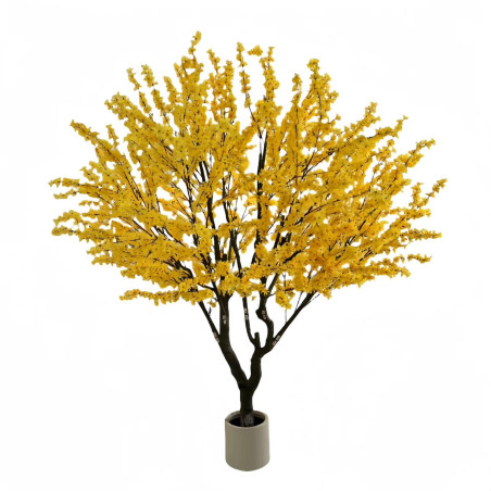 Ornamental tree