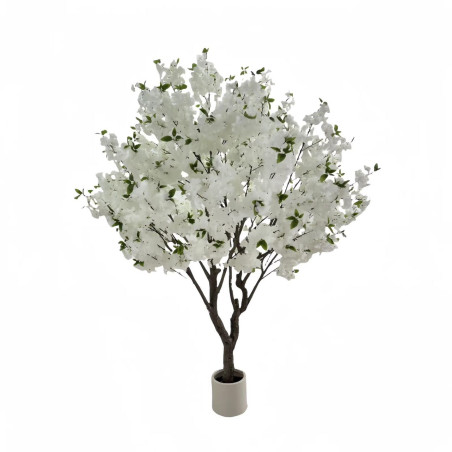Ornamental tree