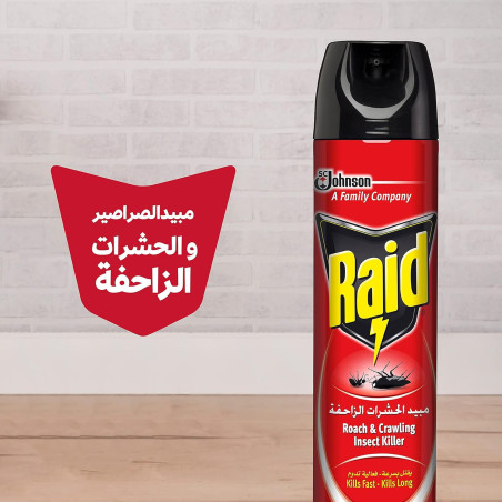 Raid Aqua Active Crawling Insects Killer Spray