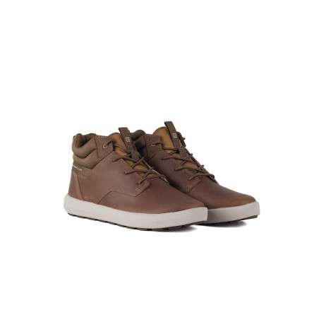 SHOES CAT PROXY MID ALGORITHM